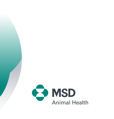 MSD Animal Health España